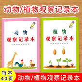 动物植物观察记录日记本小学生自然科学动植物生长规律习性观察记