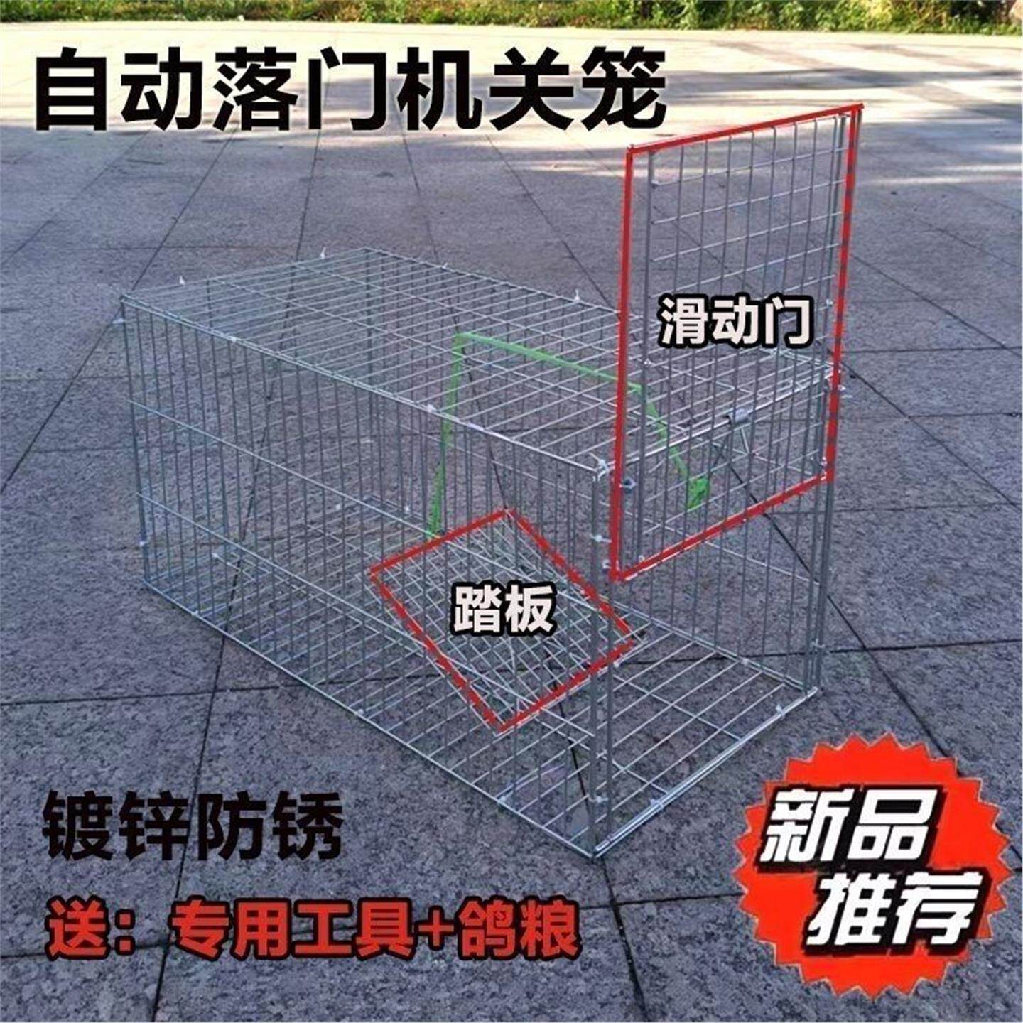 设计天落捕猫鸽笼大号家用