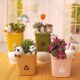 肉肉盆栽桌面装 饰摆件办公桌面收纳笔筒生日礼物可爱小花盆摆件
