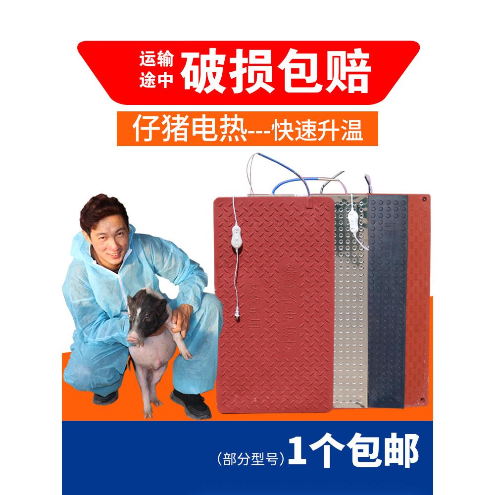 仔猪电热板兽用小猪宠物养殖场加热保温板不锈钢碳纤维猪舍狗取暖