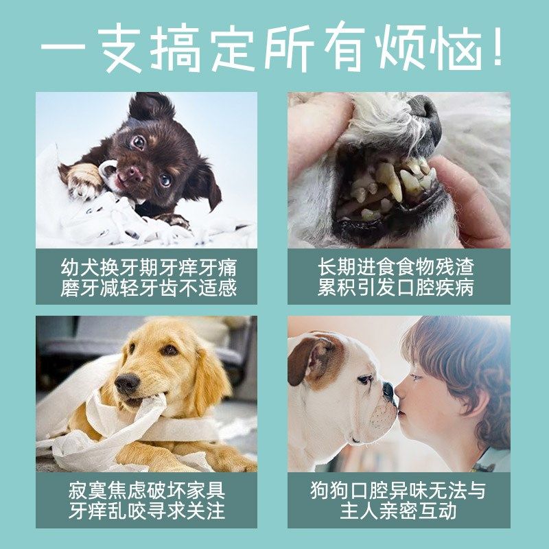 昵趣狗狗洁齿骨咬胶宠物零食泰迪比熊天然耐咬磨牙棒整盒20g*30支
