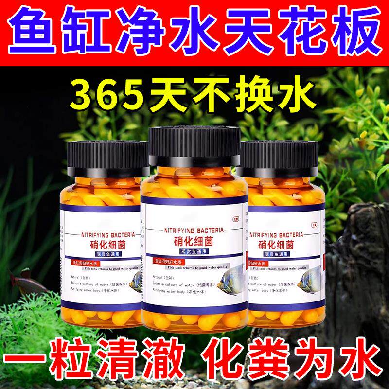 『秒变空气缸』硝化细菌鱼缸专用胶囊净水活菌干粉养鱼水族细菌