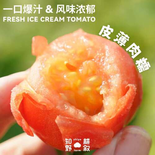知野耕叙冰淇淋番茄薄皮糯心爆汁