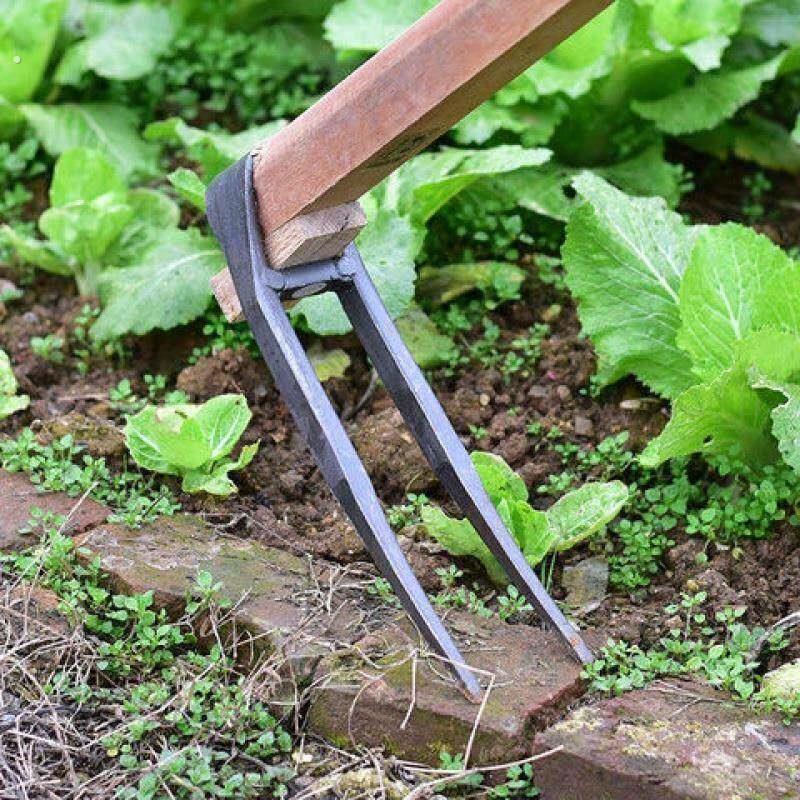 家用全钢长把锄草锄头两用挖土开荒种菜开垦种地农具两齿农用耙子