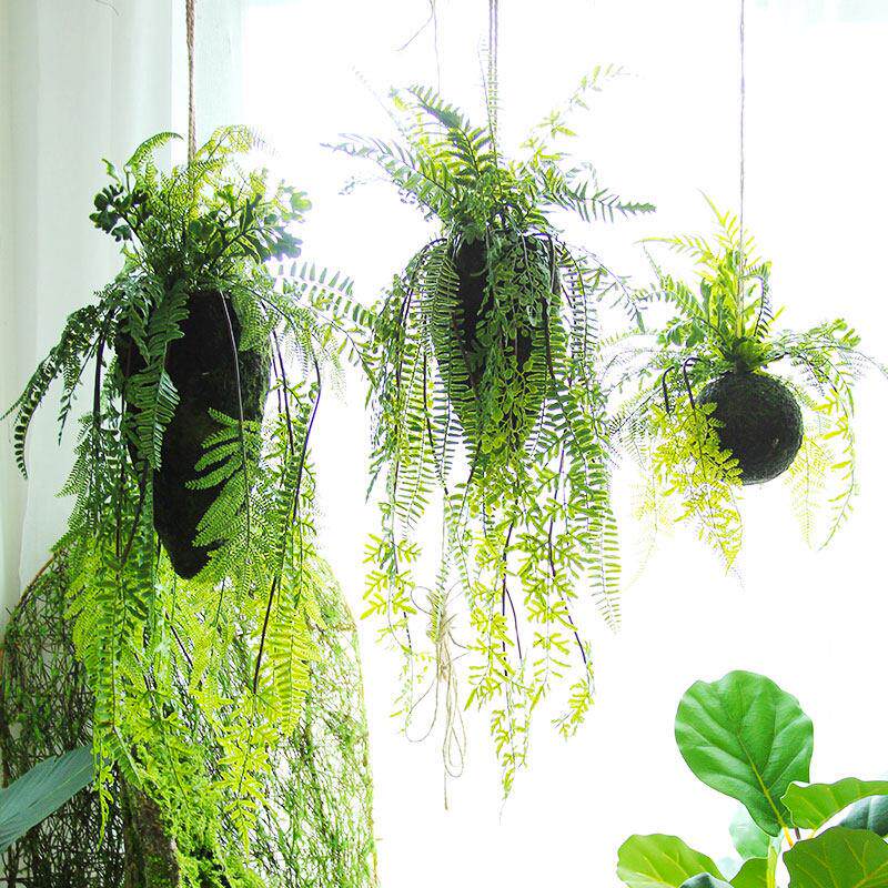 手工森系蕨类室内空中垂吊球悬挂草球彷真绿色植物物创意家居悬吊