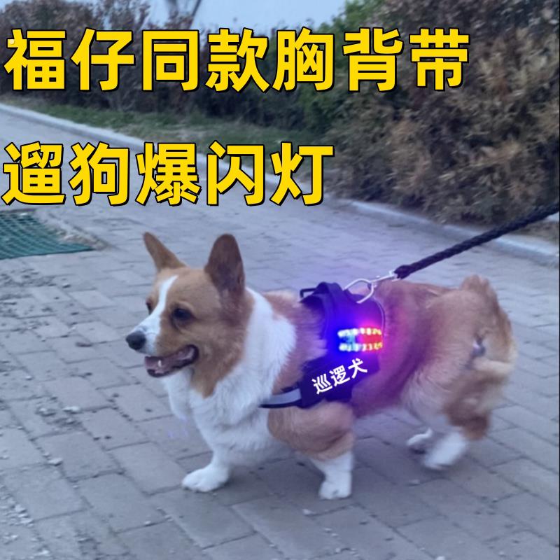 柯基套背牵引绳护卫犬执勤衣服马甲背带外出遛狗杜宾马犬中大型犬