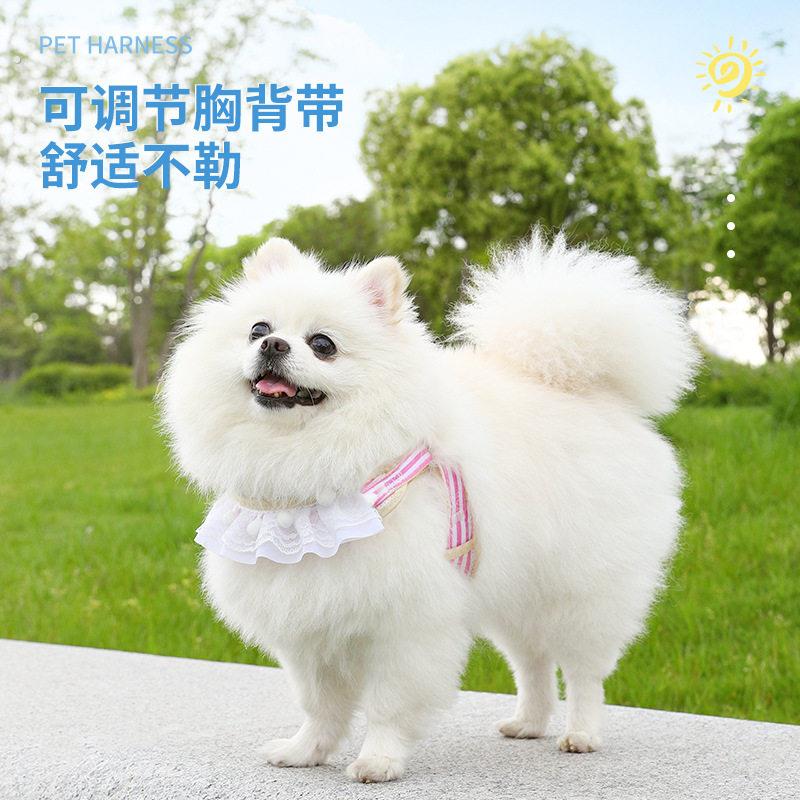 溜狗狗牵引绳小型犬可爱夏天小体博美可调节胸背带不勒脖幼犬专用