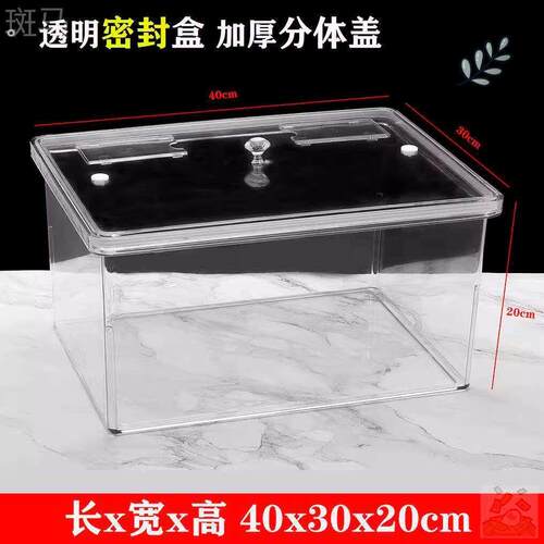 泡凤梨专用缸装卖盐水凤梨的罐子摆摊容器塑料超市货架陈列展示盒