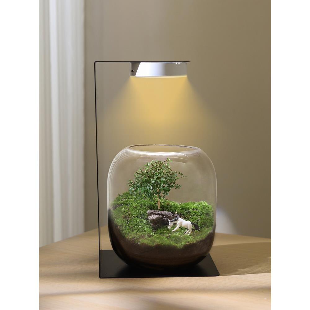 苔藓微景观生态瓶造景植物桌面小摆件悟空玻璃森林生态雨林养鱼缸