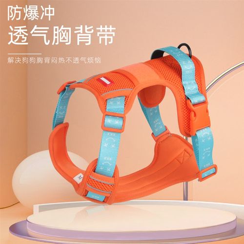 狗狗牵引绳胸背式可伸缩狗背心狗脖圈拉布拉多遛狗链子柴犬胸背带