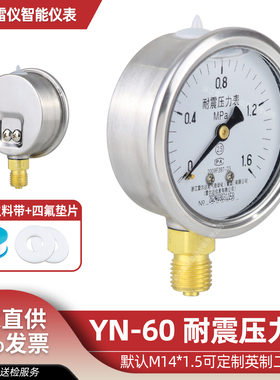 雷尔达耐震压力表抗震 YN-60 气压液压空压机 1.6MPa M14/二分牙
