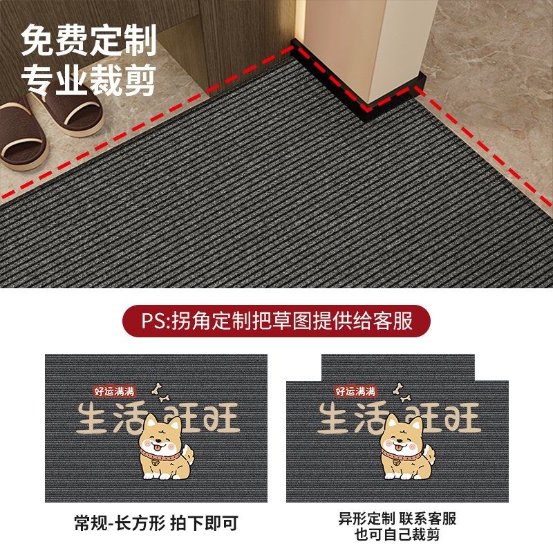 地垫入户门垫2024新款门口进门防滑耐脏脚垫高级感家用门外地毯,居家布艺,入户地垫,淘宝优惠券,粉丝福利购,淘宝优惠卷