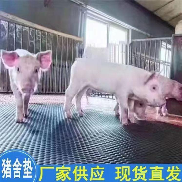 牛用防滑垫铺牛圈羊猪圈胶皮板橡胶垫防水耐磨马棚牛舍养殖场地垫