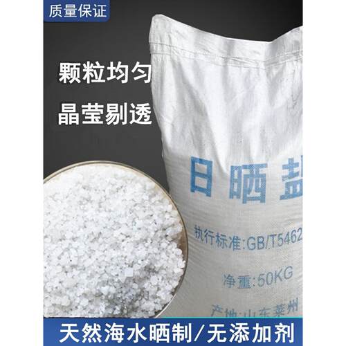 工业盐粗盐海盐大颗粒日晒盐水处理锅炉软化水盐养殖融雪化冰盐