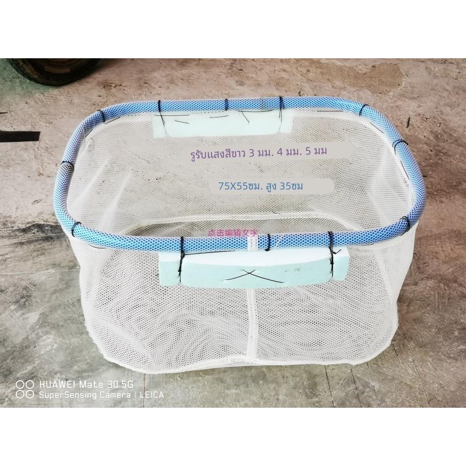 塑料网箱 分鱼苗网箱 育苗箱 暂养网箱 鱼苗养殖网箱