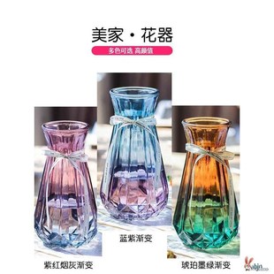 水培水养家用塑料花瓶客厅透明装饰仿玻璃防摔绿萝养花合彩色