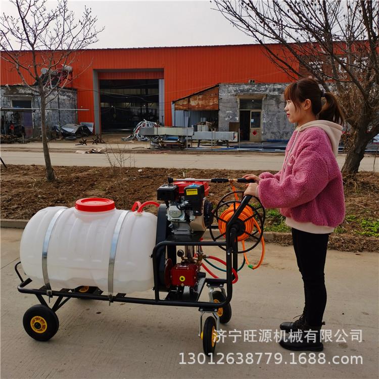 手推式养猪场消毒机 果园果树喷雾打药机 农用轻便拉管式打药机