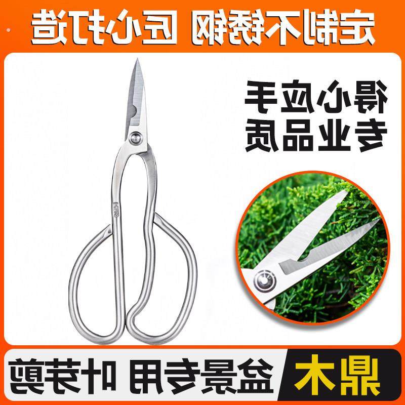 园艺专用盆景工具叶芽剪修枝剪芽剪刀盆景修剪造型专用工具剪,鲜花速递/花卉仿真/绿植园艺,剪刀,淘宝优惠券,粉丝福利购,淘宝优惠卷