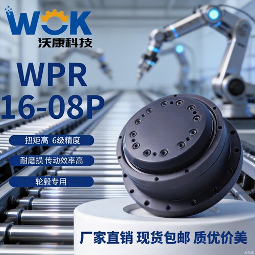 行星减速机轮毂专用6级精度WPR16-08P-T19-S00