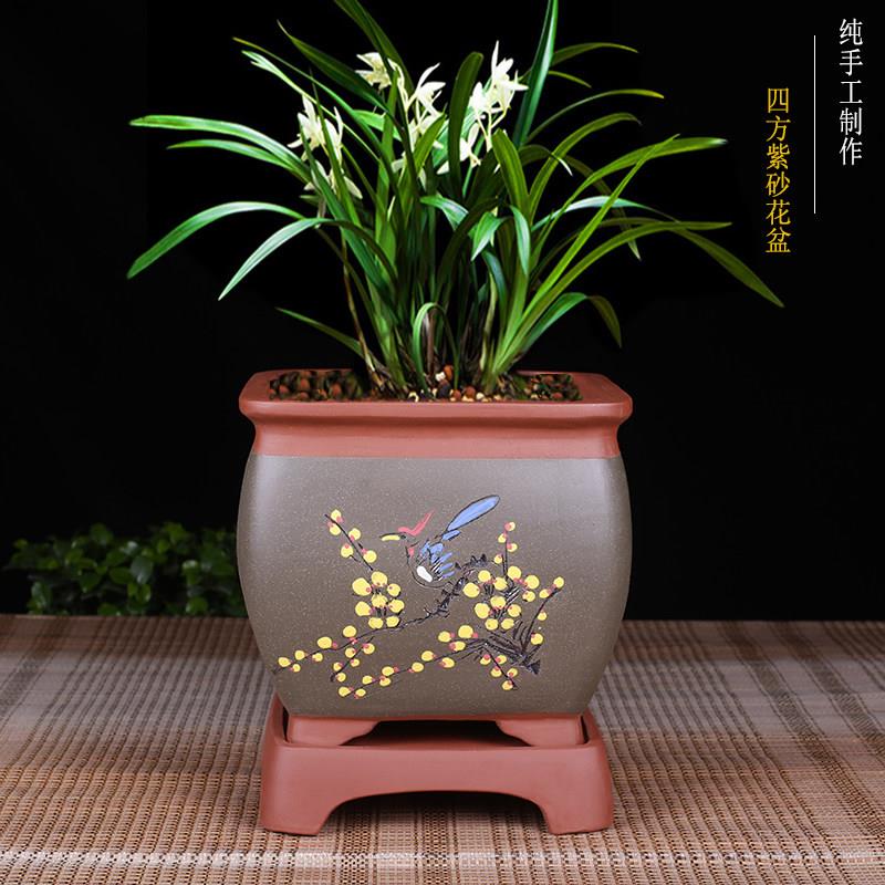 宜兴紫砂兰花盆紫砂四方盆六方盆君子兰盆精品紫砂花盆陶瓷花盆图片