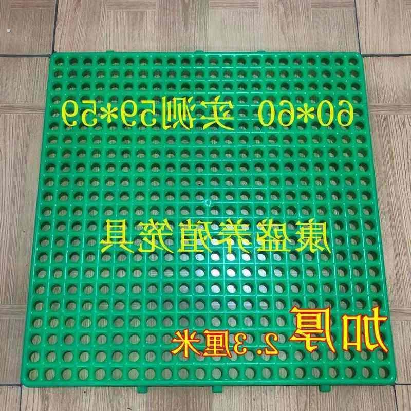 兔笼底板加厚防啃咬兔用塑料脚垫兔子漏粪板兔笼垫板宠物兔用脚垫,宠物/宠物食品及用品,兔兔脚垫,淘宝优惠券,粉丝福利购,淘宝优惠卷