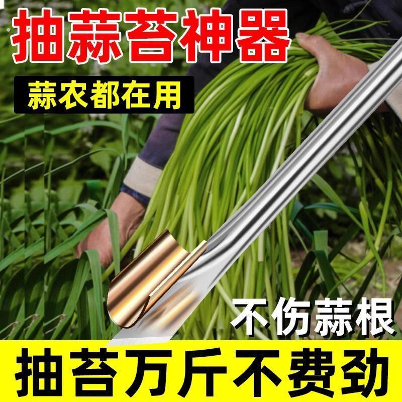 抽蒜苔神器蒜薹收割刀抽蒜器拔剥提打蒜苔划蒜苗蒜台摘蒜苗的工具