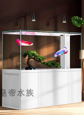 专业水刀集成拉金龙鱼缸底滤水缸客厅家庭水无变化生态景观水族馆
