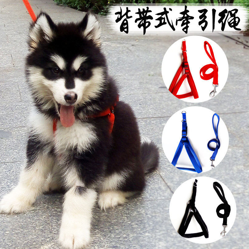狗狗牵引绳胸背带项圈遛狗绳子萨摩耶金毛狗链子中大型犬宠物用品
