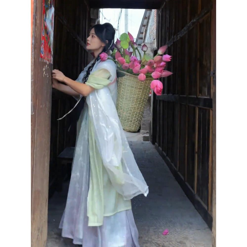 千瓣莲大型网红荷花种藕莲花苗根碗莲种藕庭院室内阳台睡莲藕苗子