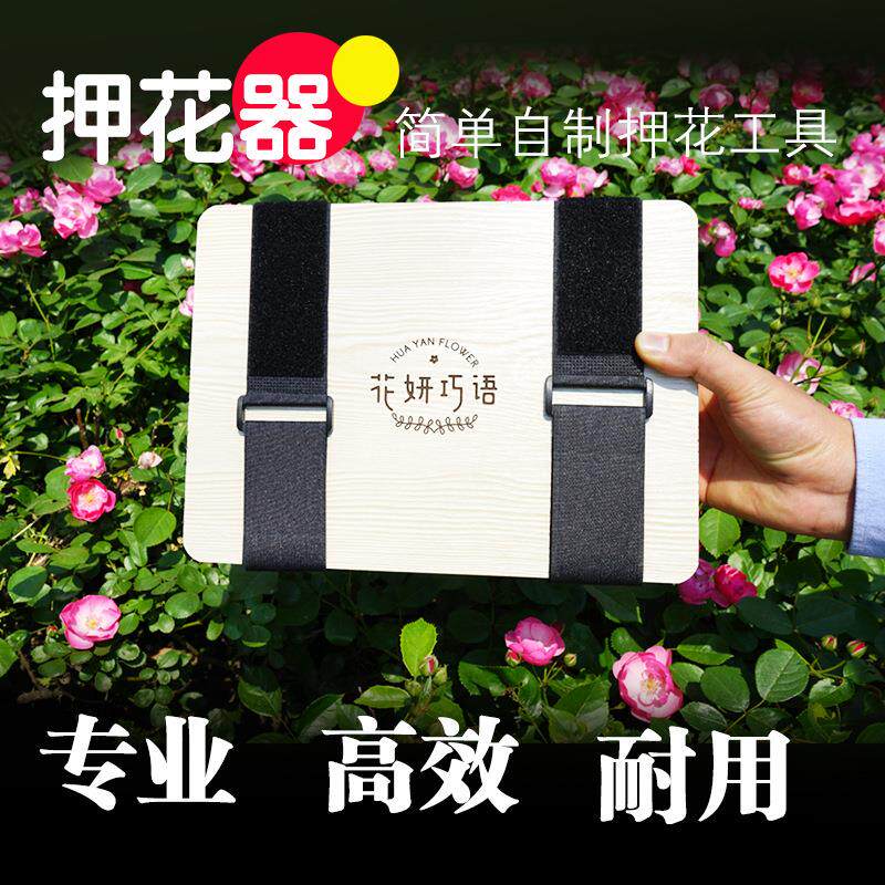 押花器压花器植物标本制作干花工具diy花压花板吸水纸风干真花