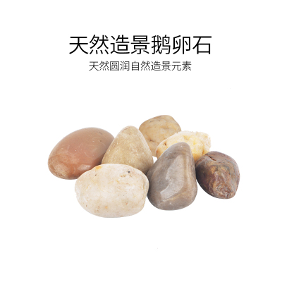 乌龟缸鱼缸生态造景装饰用品鹅卵小石头底砂石子水族箱天然雨花石