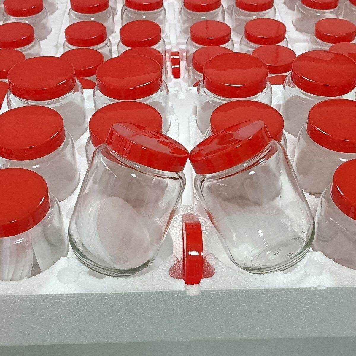 豆腐乳罐子玻璃瓶塑料盖罐头瓶带盖收纳瓶密封罐500克圆瓶蜂蜜瓶