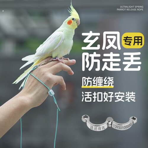鹦鹉牵引绳外出放飞绳超轻不伤脚玄凤虎皮牡丹和尚专用遛鸟绳脚环