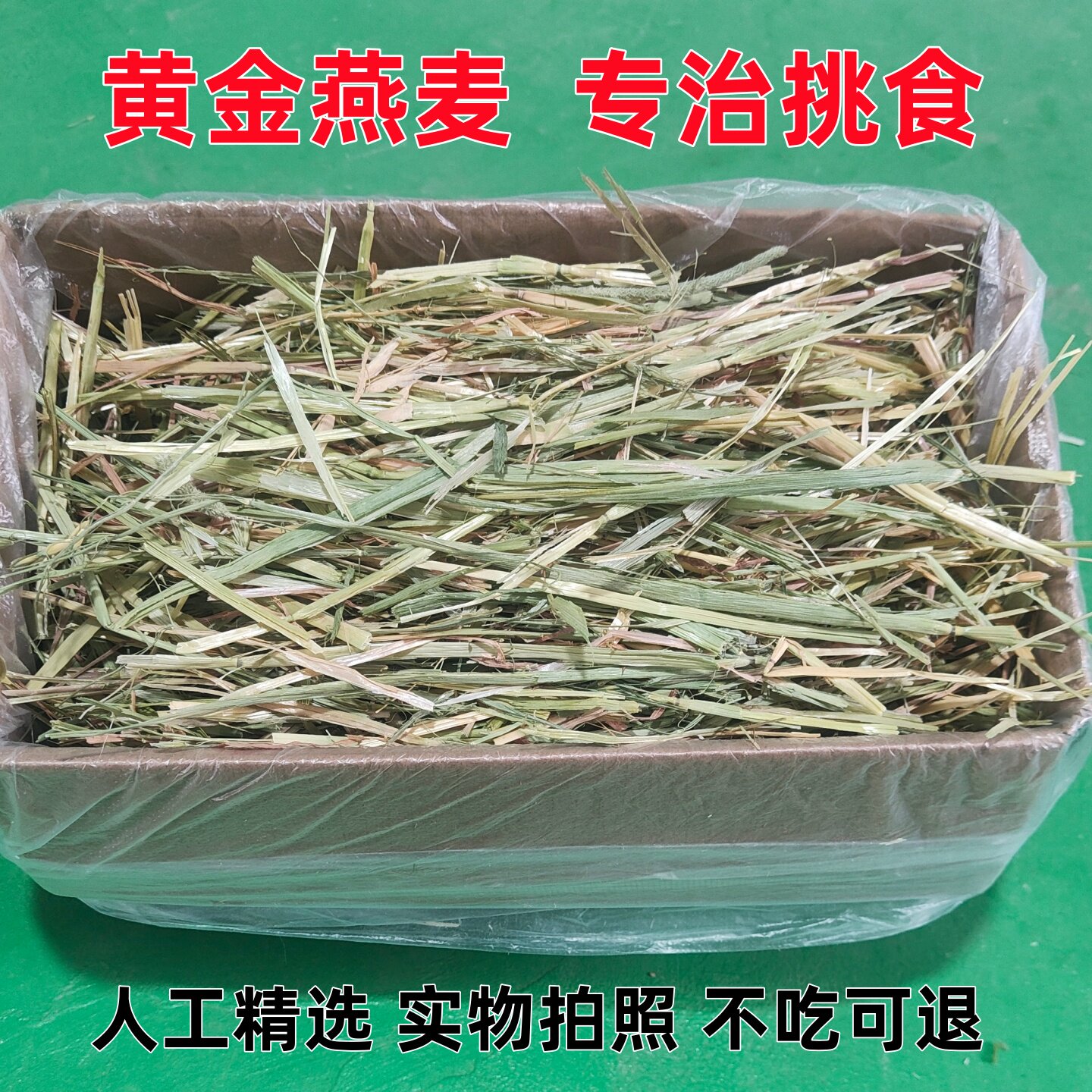 26年新澳洲燕麦草碎优质澳洲黄金燕麦草草段兔子龙猫豚鼠晒干澳麦
