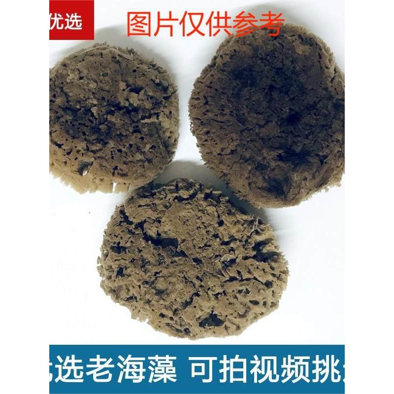 优选天然老海藻绵希腊进口老海绵艺术漆涂刷工具幻彩漆印花海藻棉