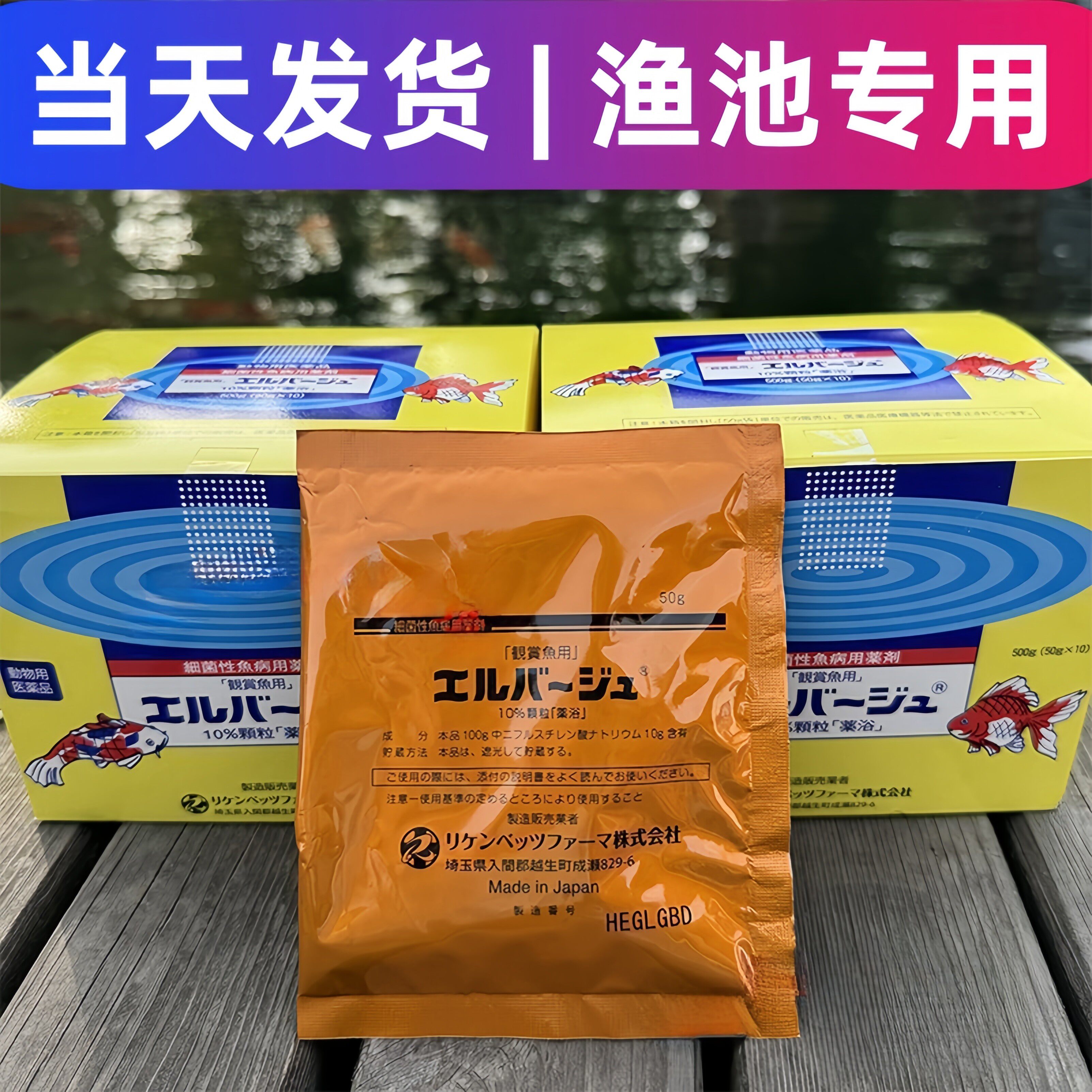 日本上野黄粉进口鱼药观赏鱼锦鲤金鱼掉鳞炸鳞交叉感染鱼池专用