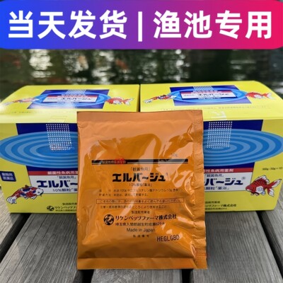 日本上野黄粉观赏鱼鱼池专用