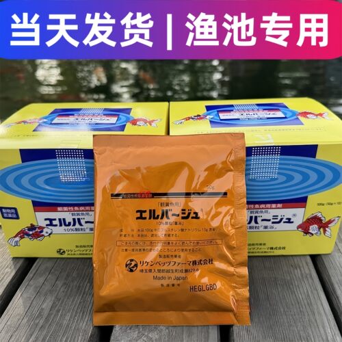 日本上野黄粉观赏鱼鱼池专用