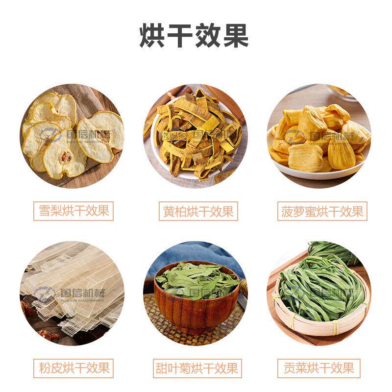 木波罗包蜜备连续式烘干设 果水果干核去烘干机 网带菠LCO萝蜜烘