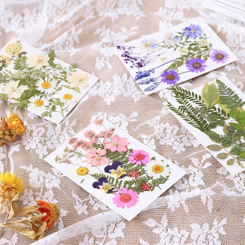 创意手工diy干花制作材料相框押花包植物标本真花装饰贴脸花瓣妆