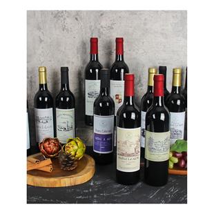 红酒酒柜展厅装饰人工道具高端软装空瓶葡萄拉菲装饰吧台设计