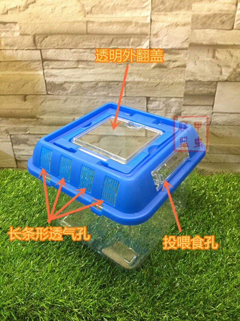 独角仙宠物角蛙蜘蛛蝎子甲虫锹甲饲养箱亚克力饲养盒精品套餐包邮