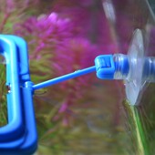 酷爬悬浮鱼缸喂食圈鱼粮投喂圈乌龟浮力喂食圈小型鱼儿投食圈