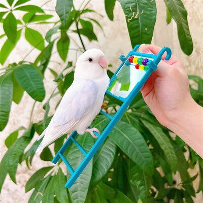 【新品】哈根鹦鹉云梯镜子爬梯鸟攀爬梯牡丹玄凤虎皮玩具趣味站架