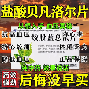 盐酸贝凡洛尔片降压药正品购买四代官方旗舰店绞股蓝总甙片100片
