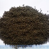 包邮 鲟鱼 垂钓打窝饵料 高蛋白配合颗粒饲料 虹鳟鱼下沉鱼食