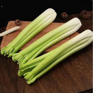 仿真西芹香芹蔬果模型 食物装饰拍摄道具食品摆件