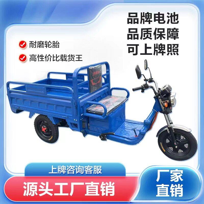 电动三轮车拉货载重王三轮电动车家用大型农用三轮车摆摊快递
