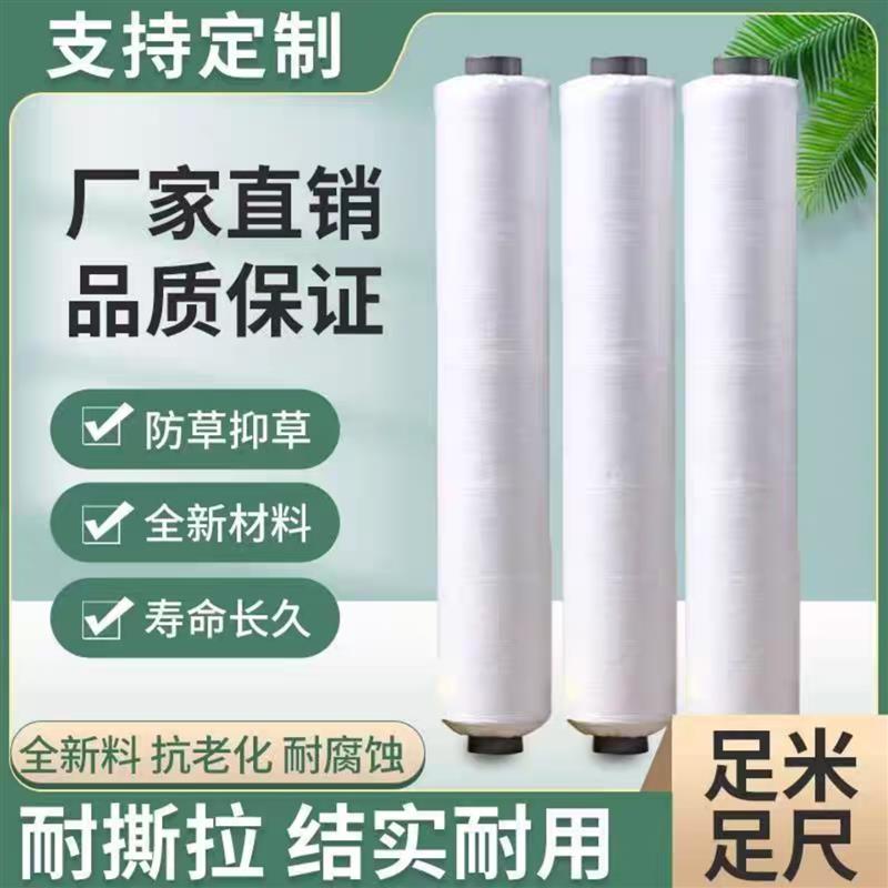 白地膜农用种植种菜专用保护膜胶带一次性覆盖菜地保温膜耐磨加厚