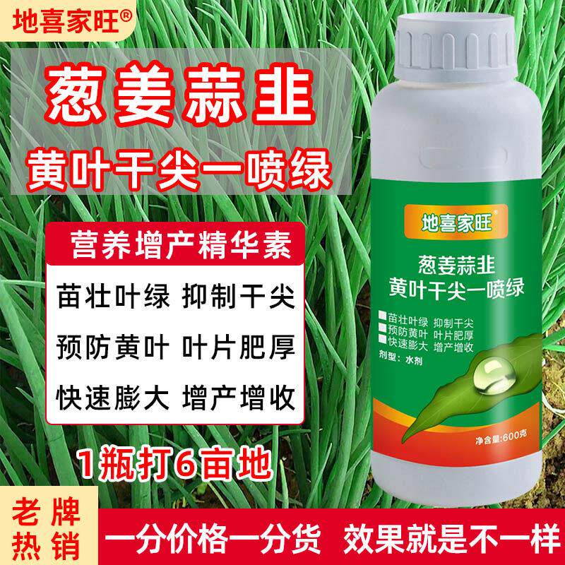 香葱生姜葱韭菜大蒜洋葱蔬菜叶面肥黄叶干尖一喷绿膨大增产肥料